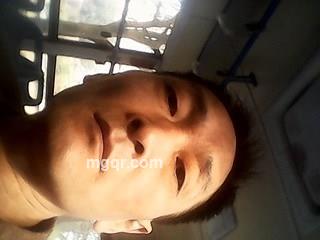 花花草草的头像