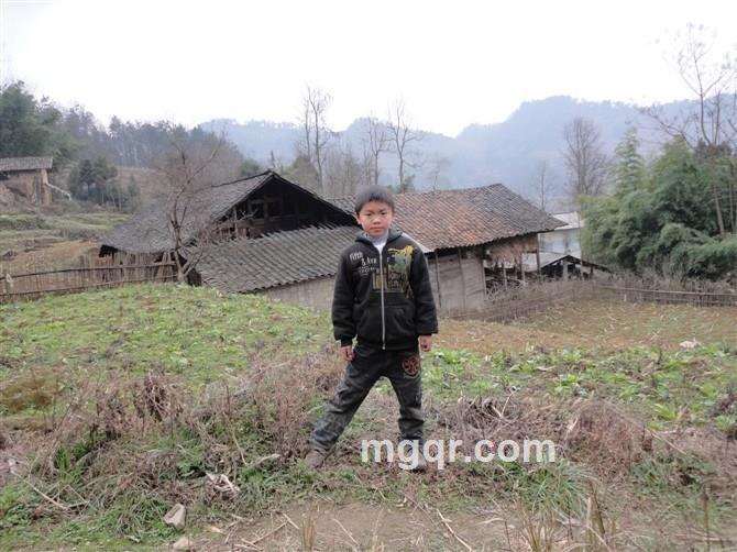 木子三石的头像