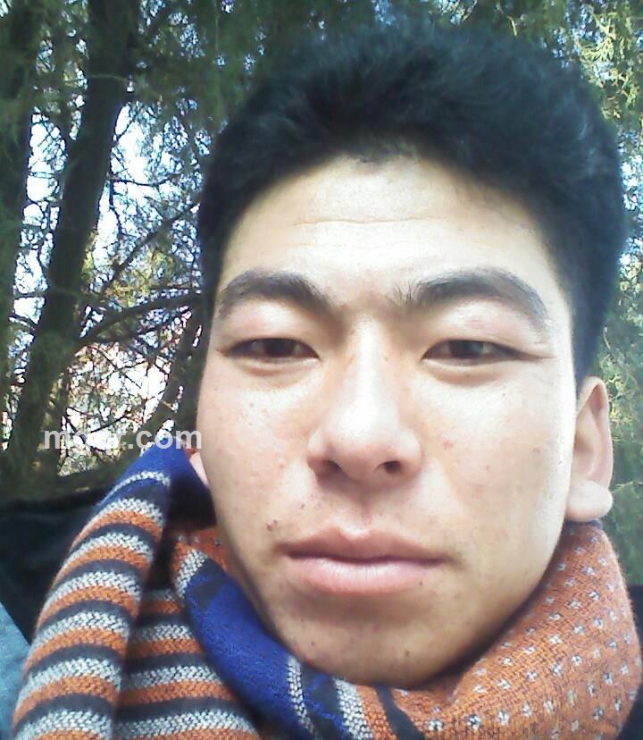 守候爱情的头像