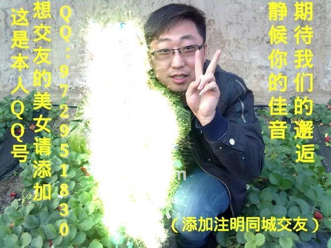 来这里的人你懂的的头像