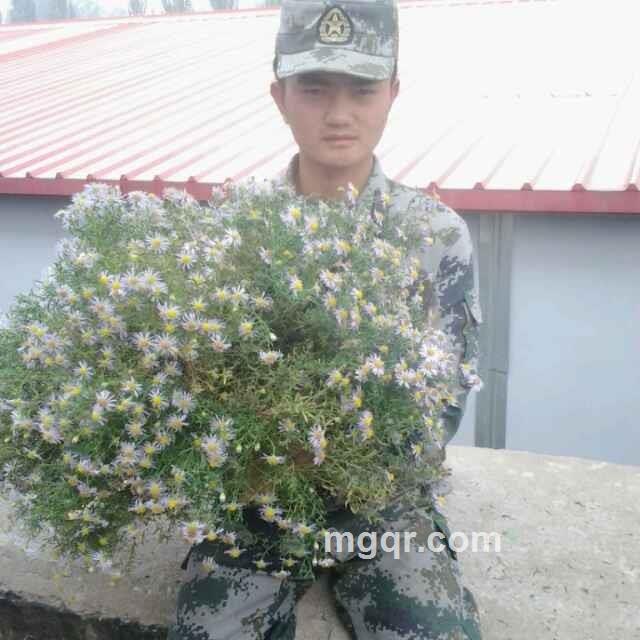 兵小，找富婆包养的头像