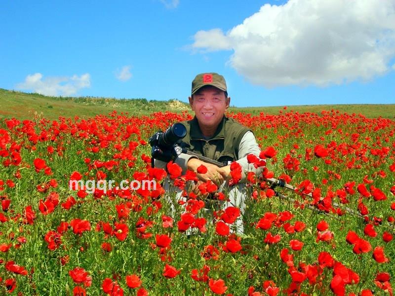 大漠胡扬的头像