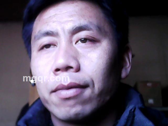 我是一只受伤的小鸟的头像