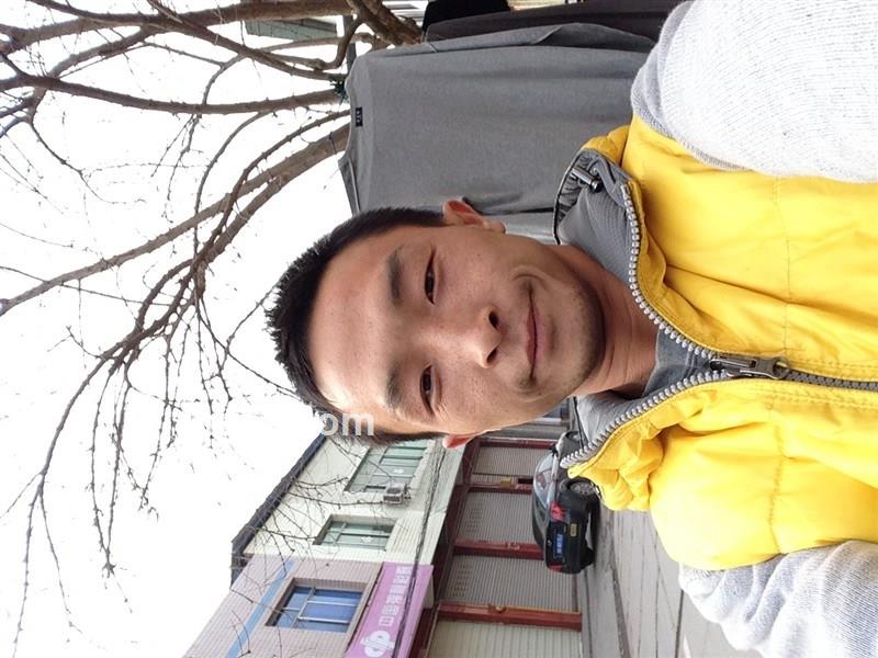 直 炒工 的头像