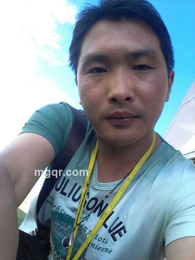 草原王子的头像