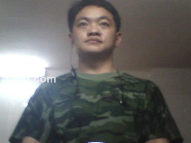 飞燕金龙的头像