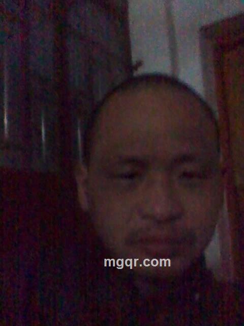 吉庆有余的头像