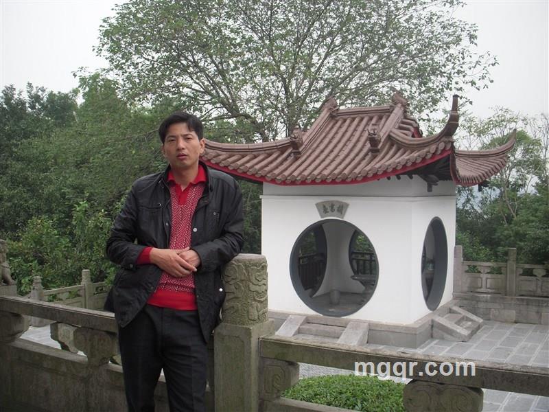 我的爱情鸟在哪的头像