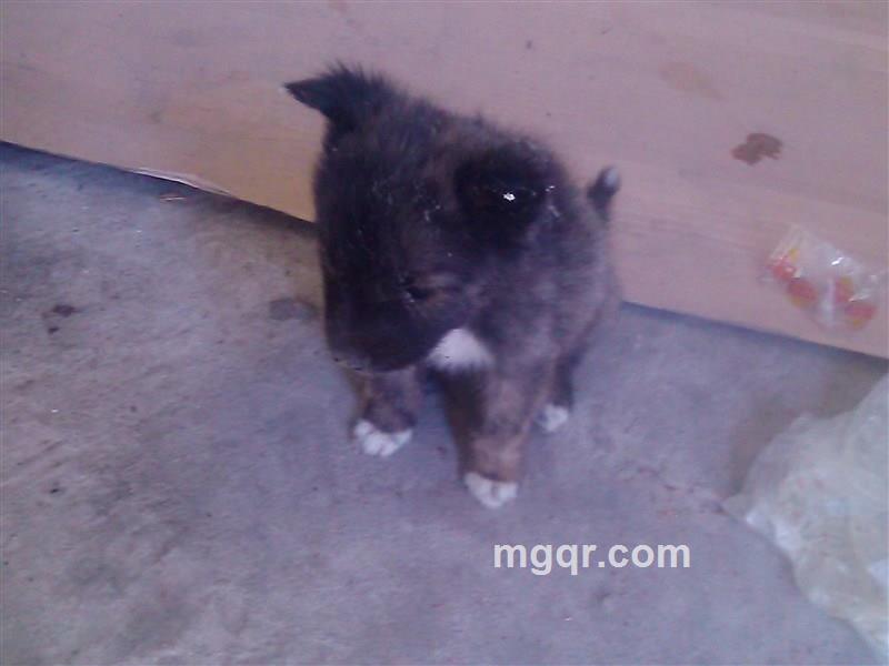 流年妄似水的头像