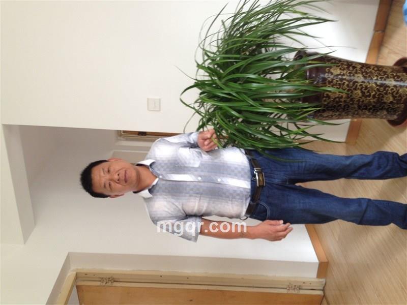 视若无睹的头像