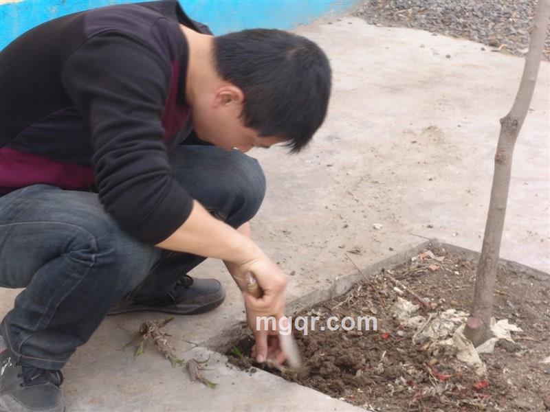 修通心桥的头像