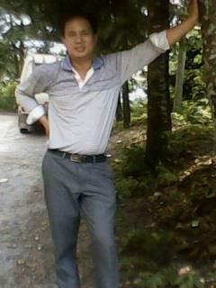 天空的小虫的头像