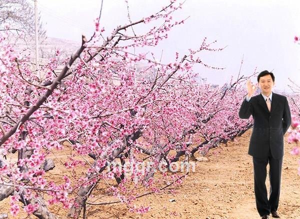 稳赚发发的头像