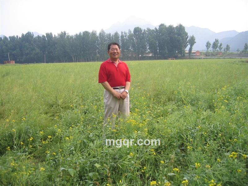 苹果园马的头像