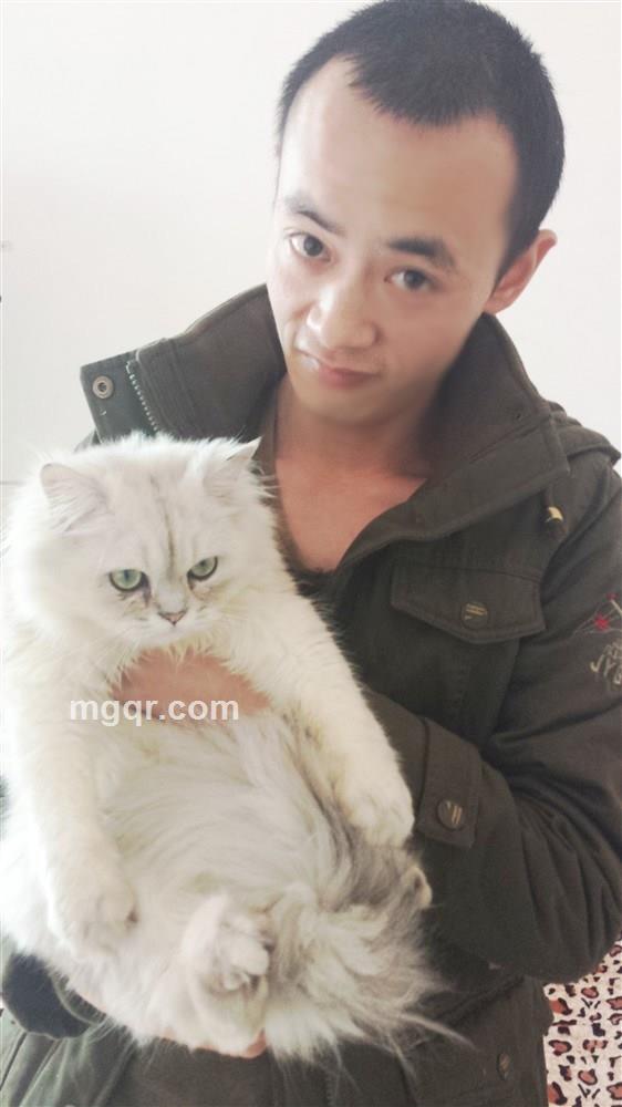 歌神Lance的头像