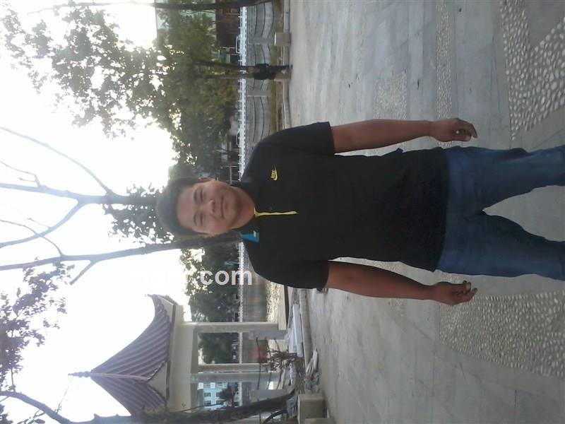 等你等到花谢了的头像