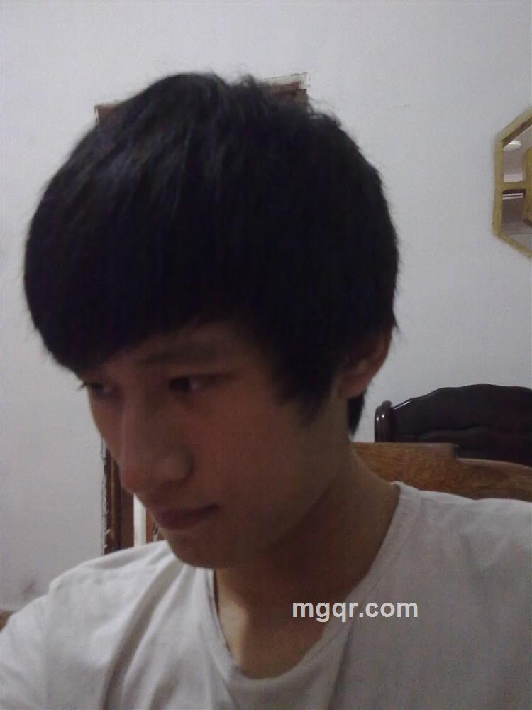 海豚的翅膀的头像