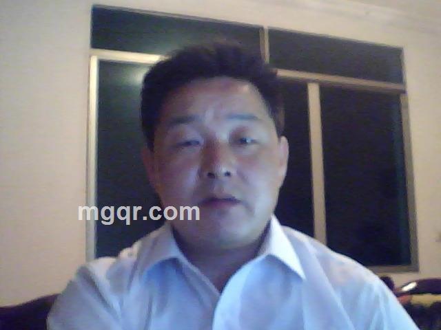 春天杨树的头像