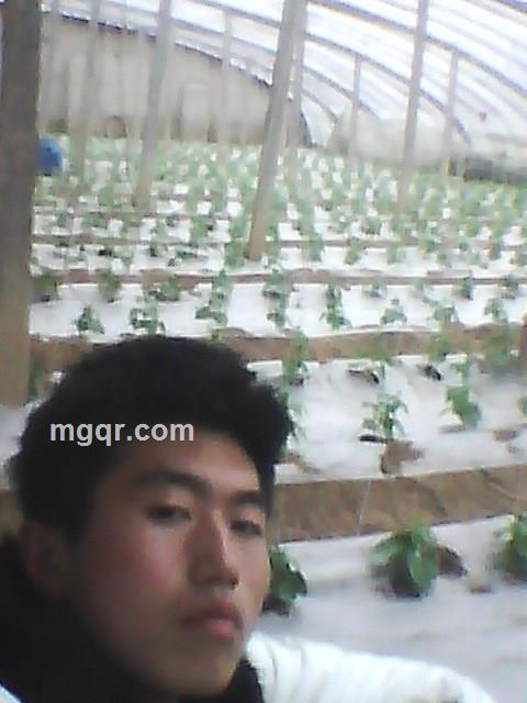 动漫作家的头像