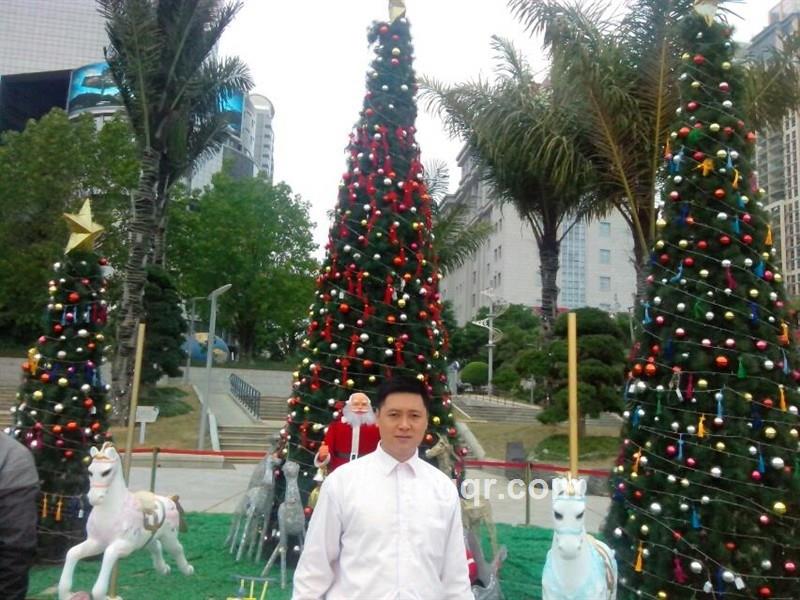 不断更新的头像