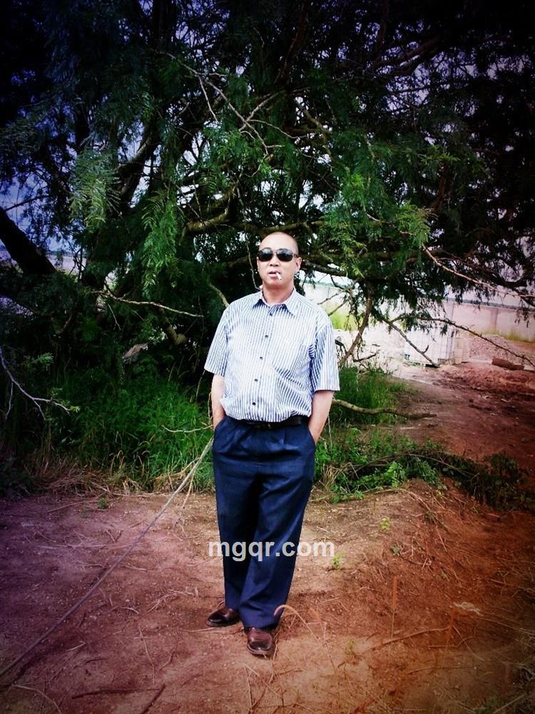 丹枫的头像