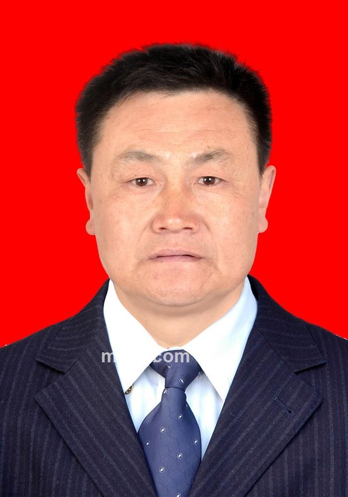 默默奉献的头像