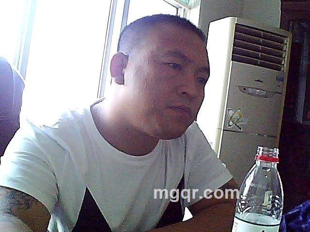 爱直到受伤的头像