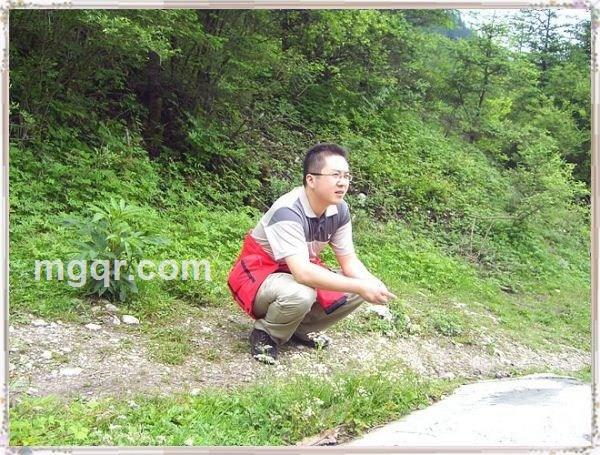 第八课北斗星的头像