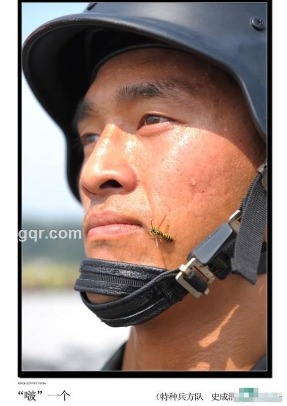 半碗凉茶的头像