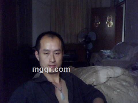 疯狂的胡萝卜的头像