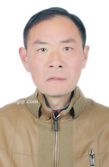 轻骑兵（轻骑兵）的头像