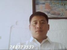 风月随行的头像