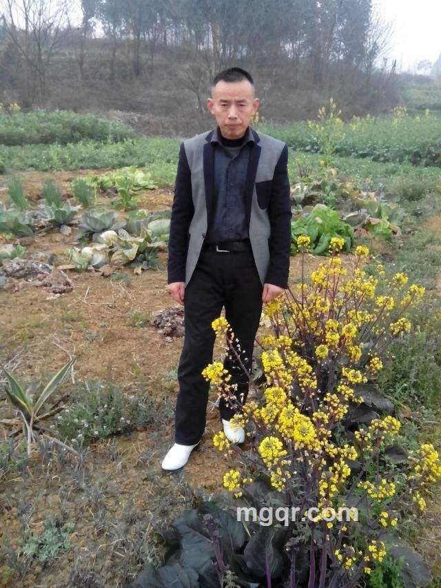 ぶ龍の謌ゞ的头像