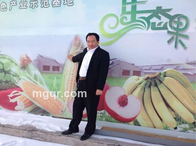 鄂尔多斯的头像