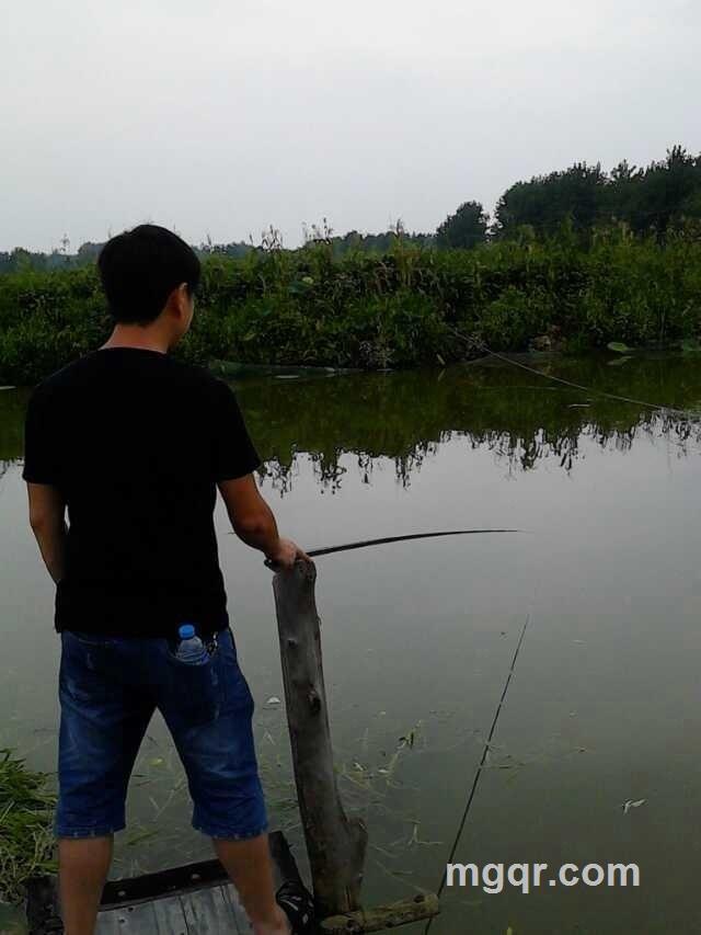 头发乱了的头像