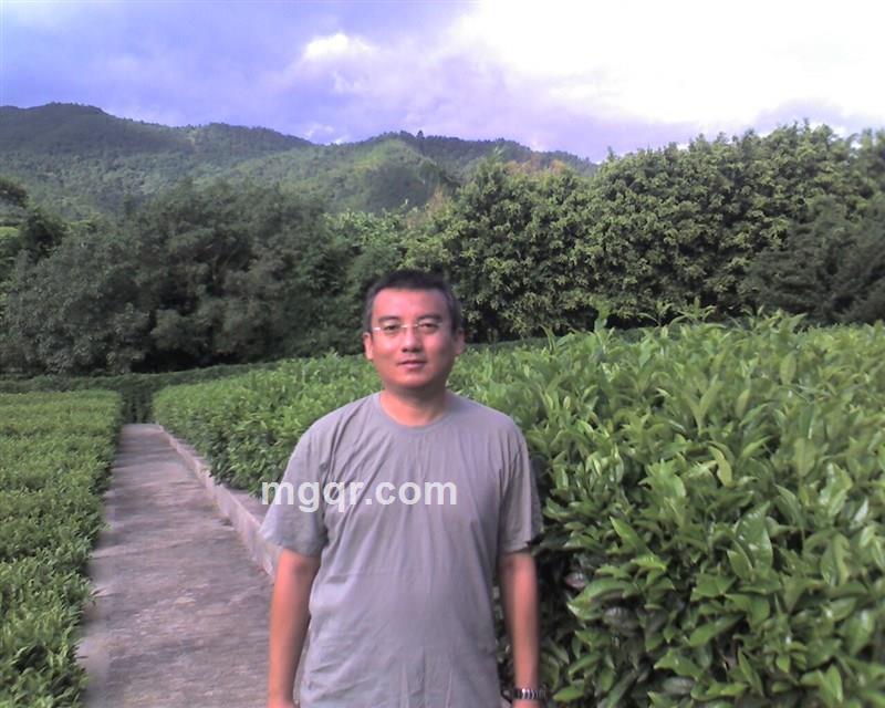 风的牙齿的头像