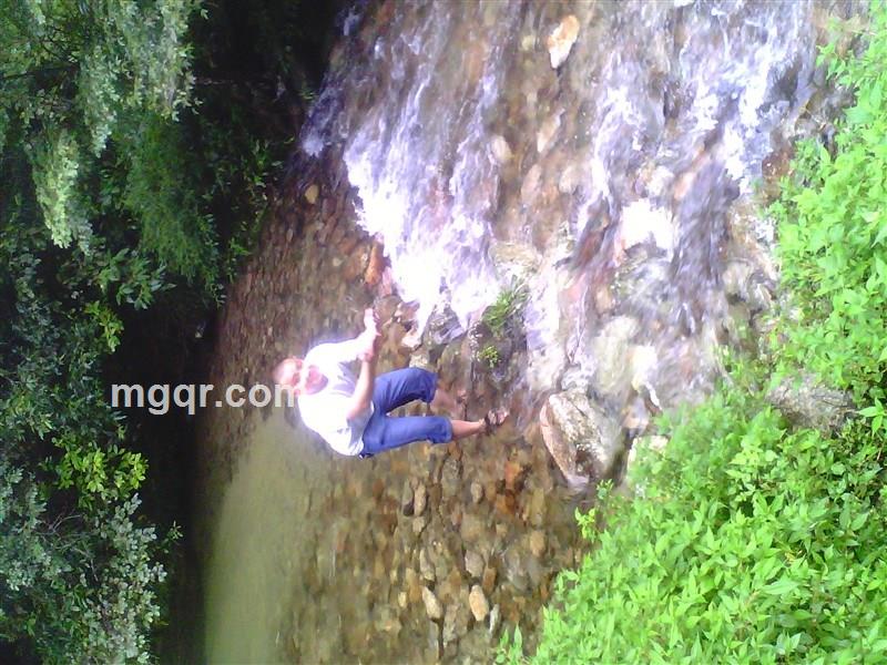 老实的坏蛋的头像