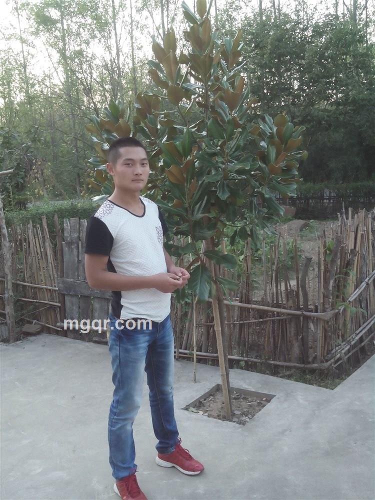 初见惊艳，再见依然的头像