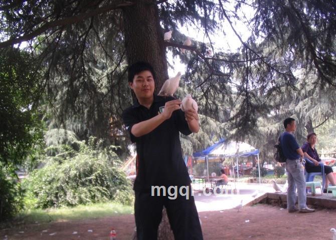 萧何友情的头像