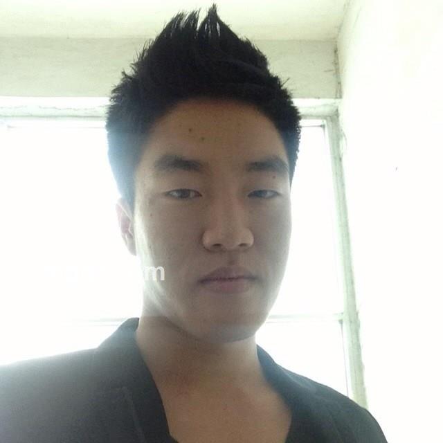 会员2529420的头像