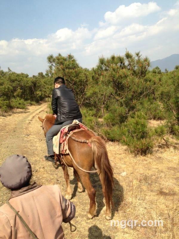 你有情我愿的头像