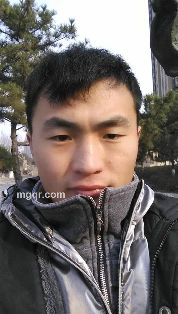 春梦又起的头像