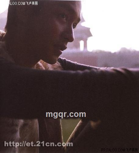 寻找爱神的头像