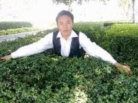 爱你一哦的头像
