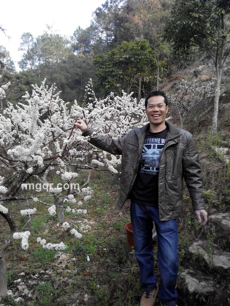 会员2544653的头像