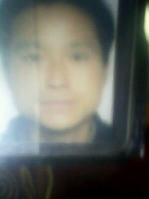 春天的天使的头像