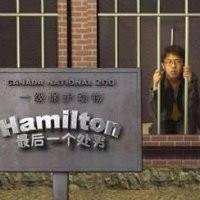 听雨西风的头像