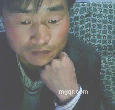 低飞之鹰的头像