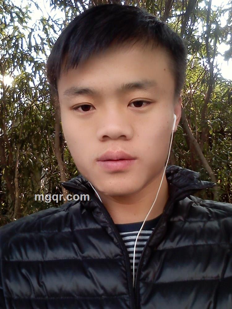 戴着眼镜的熊猫的头像