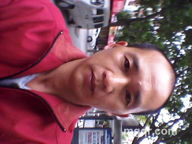 寻你一夜情的头像